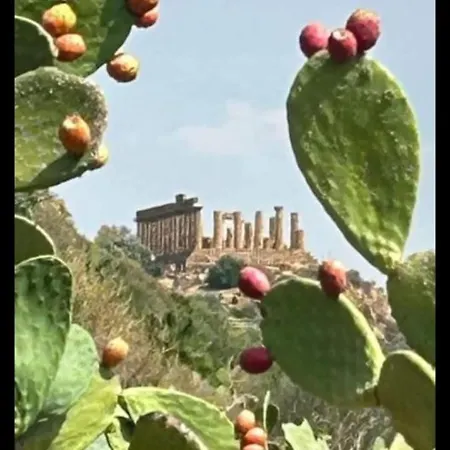 Dareb Vista Mare Πανσιόν Αγκριτζέντο